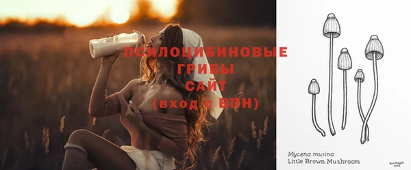 хмурый Лагань