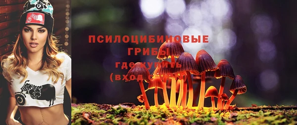 хмурый Лагань