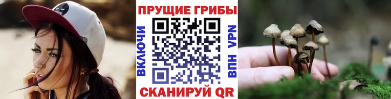 Галлюциногенные грибы мицелий  Болохово 